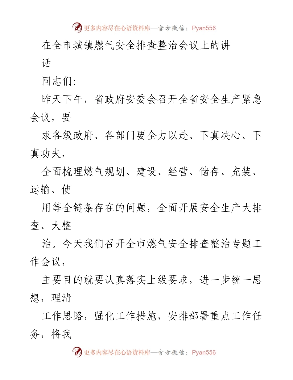 [发言] 城镇燃气安全排查整治会议 - 确保燃气安全：全市排查整治工作部署.docx_第1页
