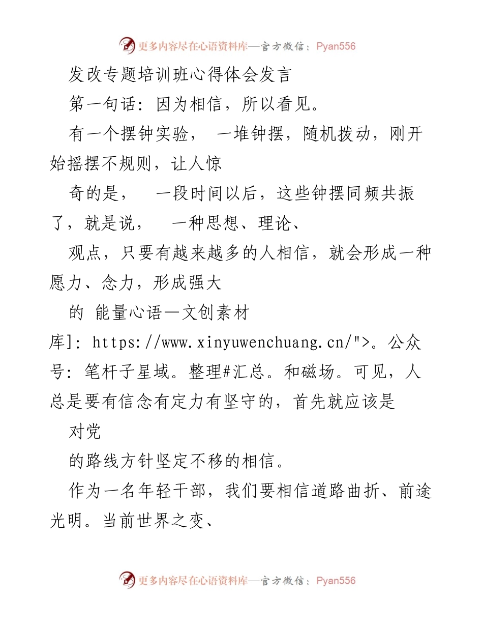 [发言] 发改专题培训班 - 年轻干部的信念与责任.docx_第1页