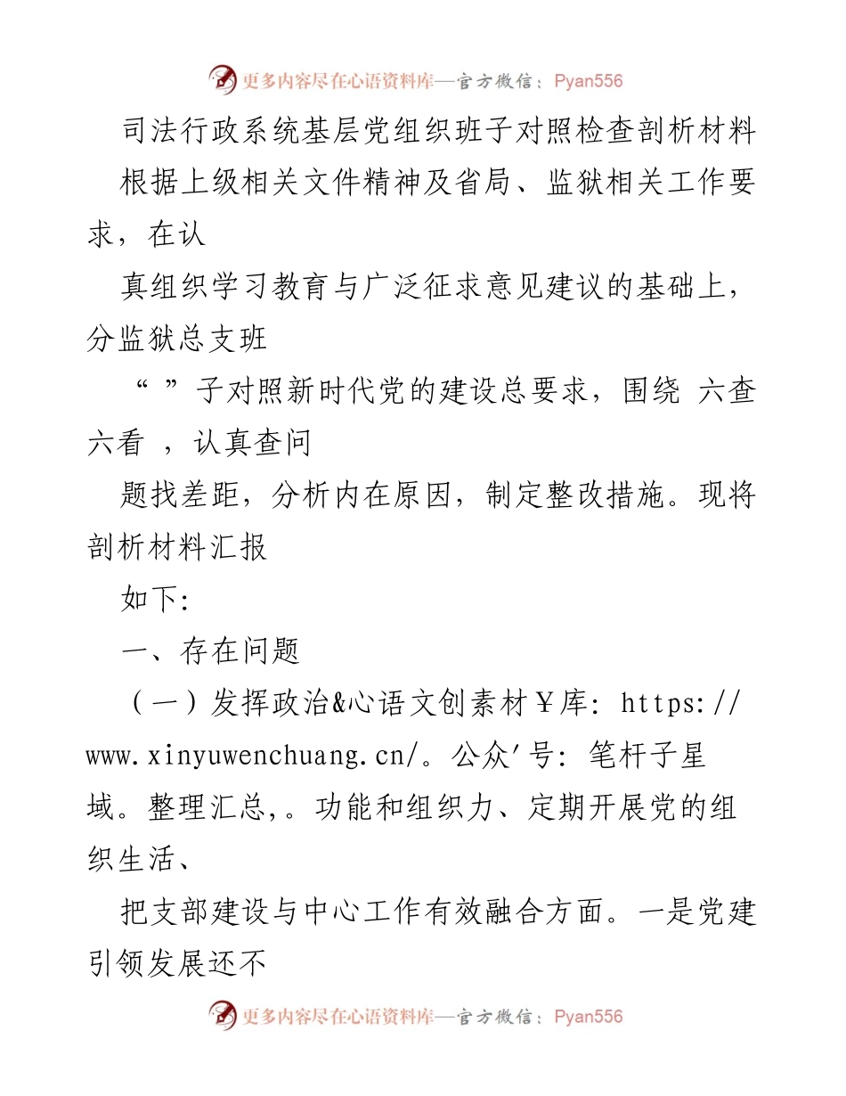 [发言] 司法行政系统 - 基层党组织班子对照检查与整改措施汇报.docx_第1页