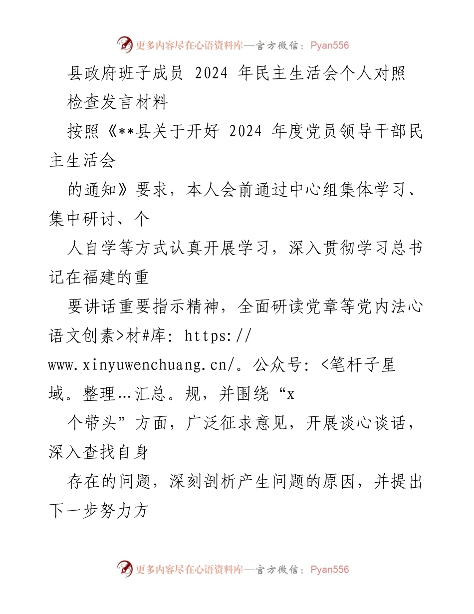 [发言] 县政府2024年民主生活会 - 个人对照检查发言材料.docx_第1页