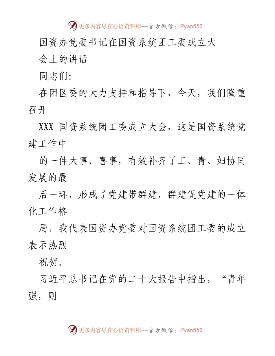 [发言] 国资系统团工委成立大会 - 国资系统团工委成立的意义与青年发展的期望.docx_第1页