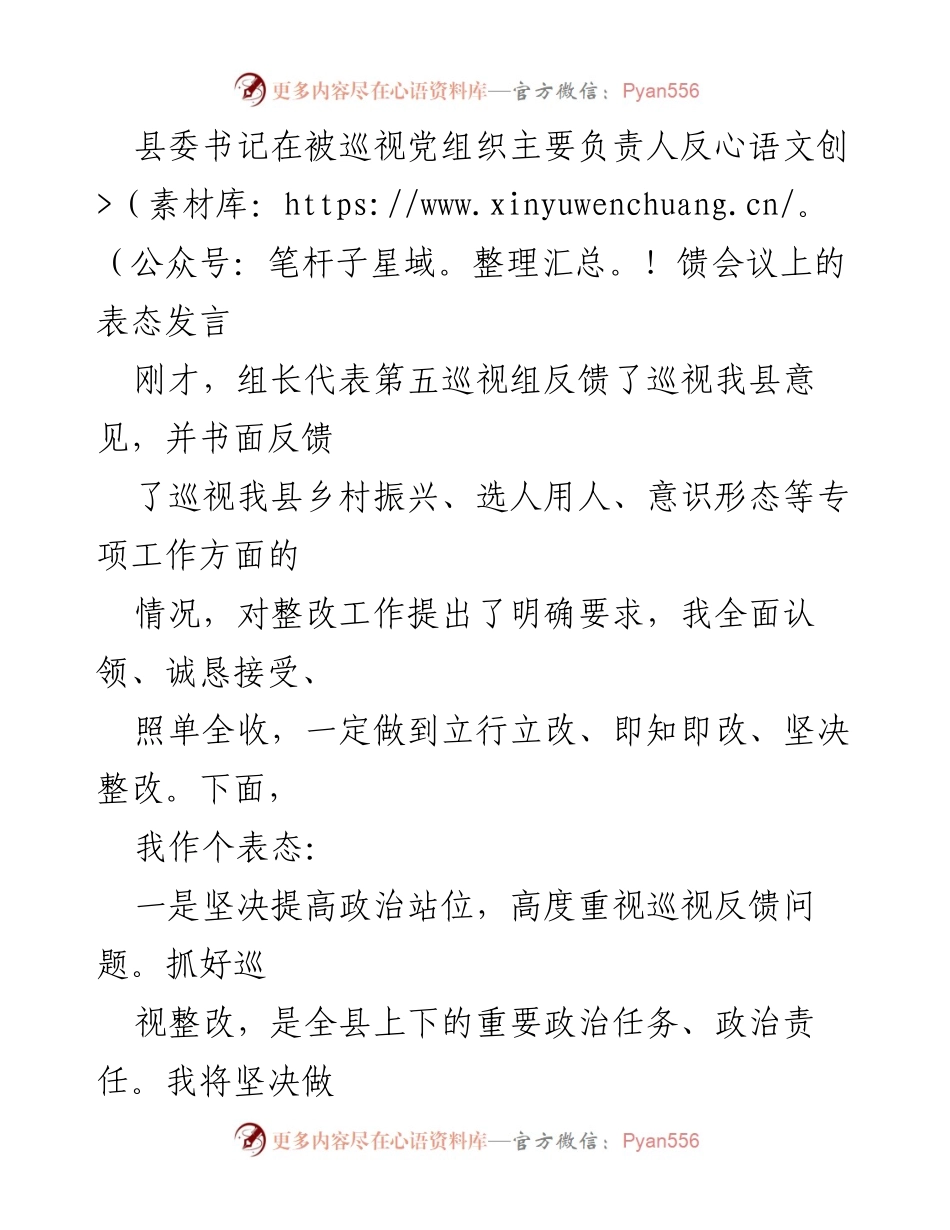 [发言] 反馈会议 - 县委书记对巡视反馈的表态与整改承诺.docx_第1页