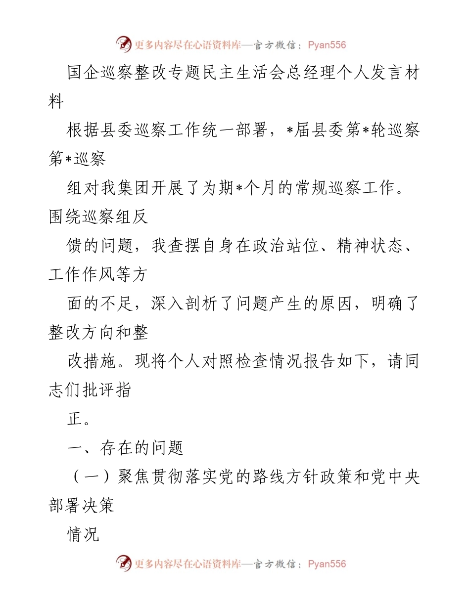 [发言] 国企巡察整改专题民主生活会 - 总经理个人对照检查发言材料_2.docx_第1页