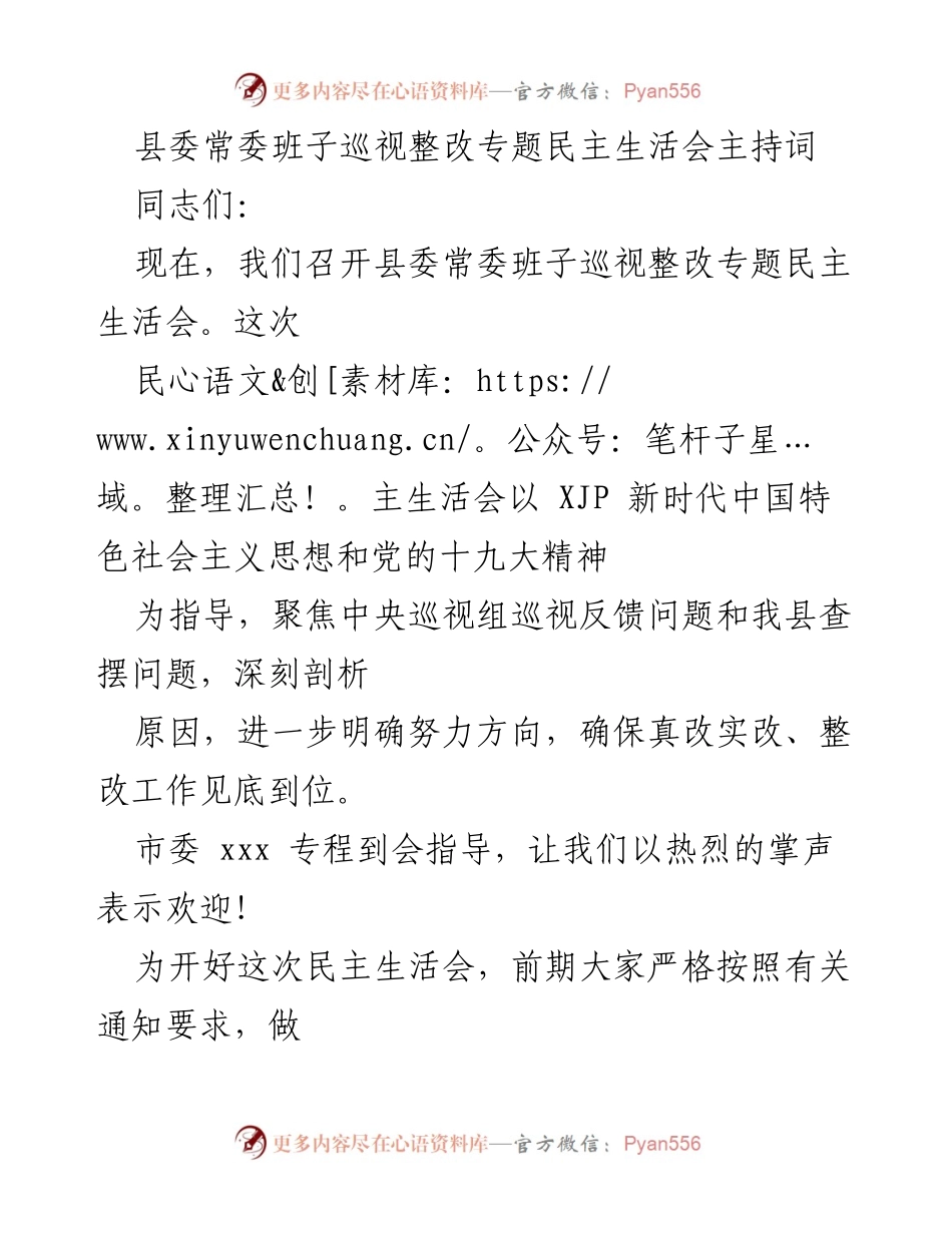 [发言] 县委常委班子巡视整改专题民主生活会 - 深入剖析问题，确保整改落实.docx_第1页