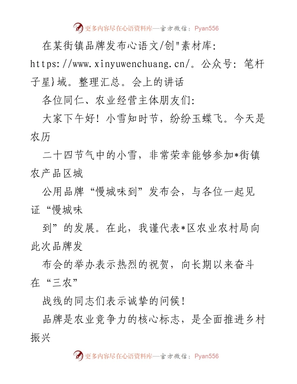 [发言] 品牌发布会 - “慢城味到”品牌发布会讲话要点.docx_第1页