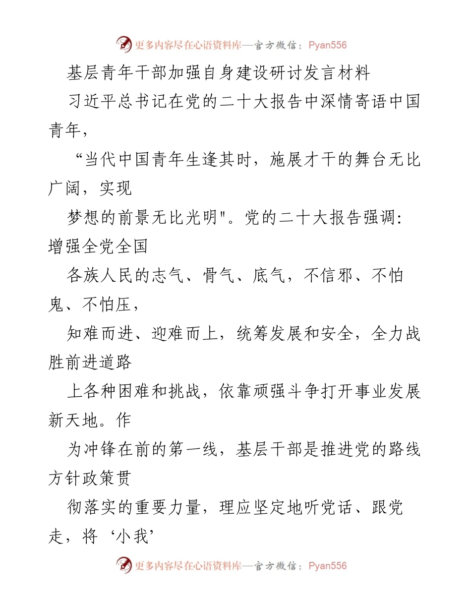 [发言] 基层青年干部研讨会 - 青年干部的志气与骨气：在基层建设中绽放青春力量.docx_第1页