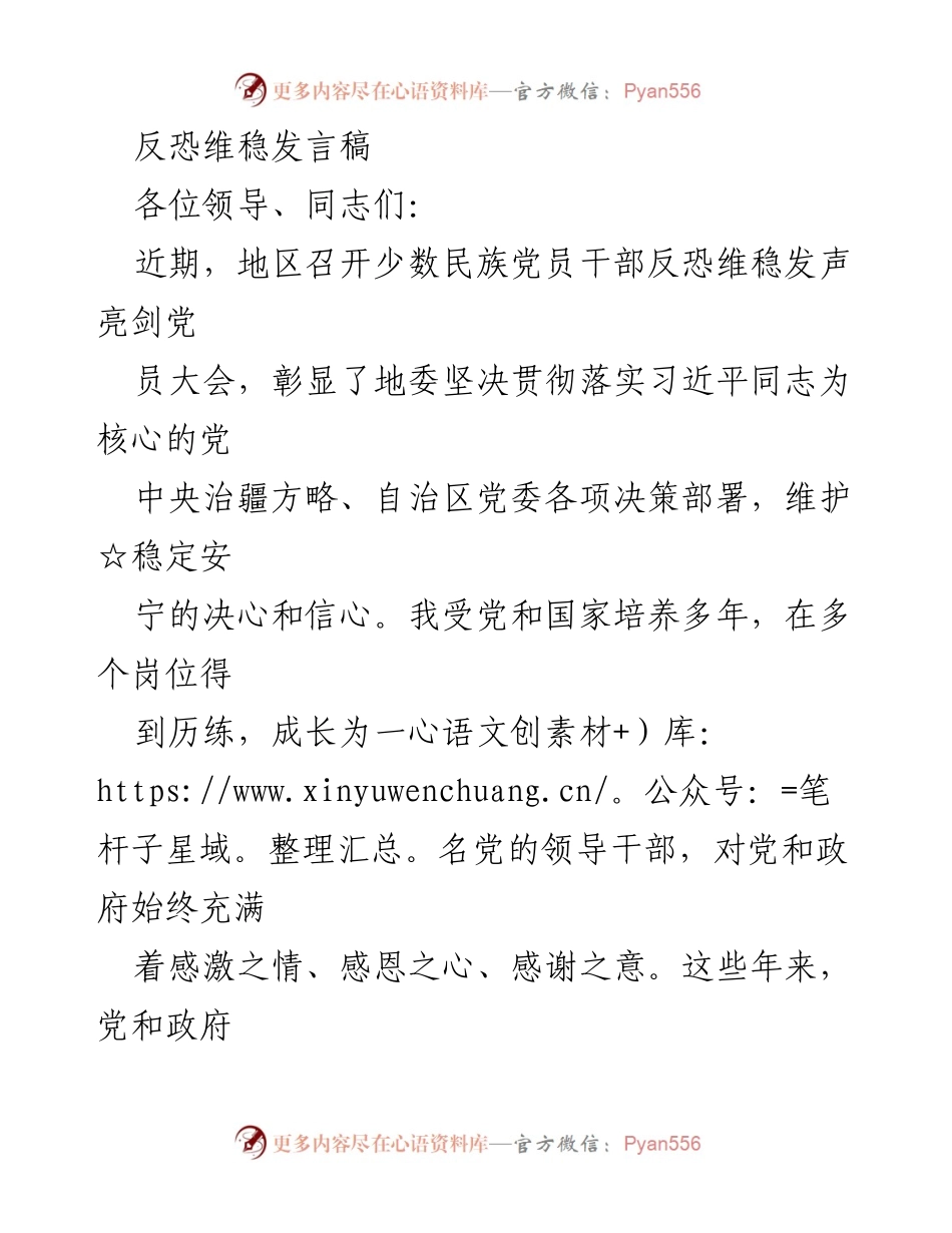 [发言] 反恐维稳党员大会 - 坚决维护民族团结与社会稳定的责任与担当.docx_第1页