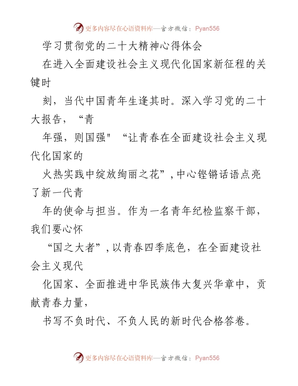 [发言] 学习贯彻党的二十大精神 - 青年干部在新时代的使命与担当.docx_第1页