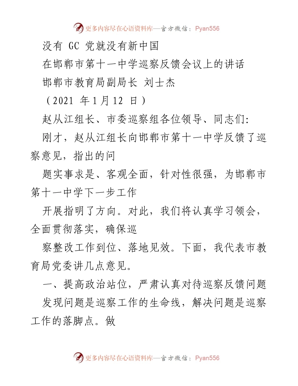 [发言] 巡察反馈会议 - 巡察整改工作的重要性与措施.docx_第1页