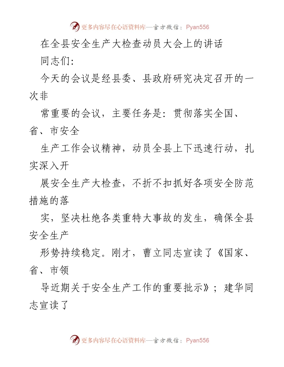 [发言] 安全生产大检查动员大会 - 全县安全生产大检查动员讲话.docx_第1页