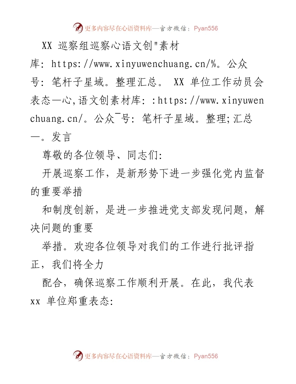 [发言] 巡察工作动员会 - 巡察工作动员会表态发言：全力配合，确保整改落实.docx_第1页