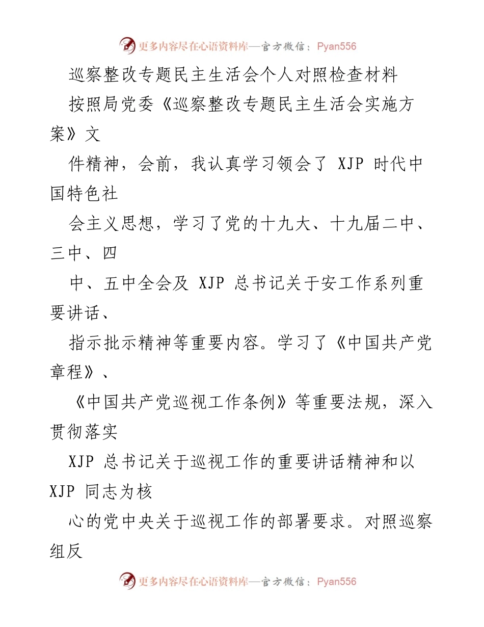[发言] 巡察整改专题民主生活会 - 巡察整改中的个人对照检查与整改措施分析.docx_第1页