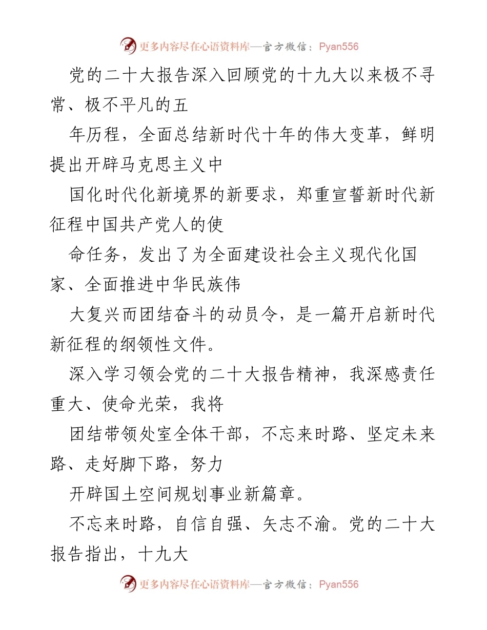 [发言] 学习贯彻党的二十大精神 - 深入学习党的二十大报告，开辟国土空间规划事业新篇章.docx_第1页