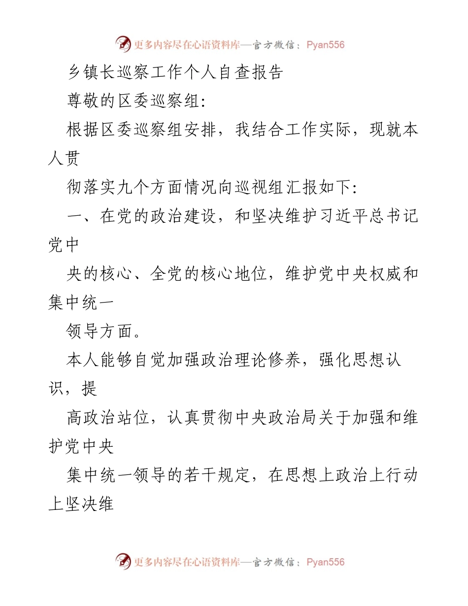 [发言] 巡察工作 - 乡镇长巡察工作个人自查报告.docx_第1页
