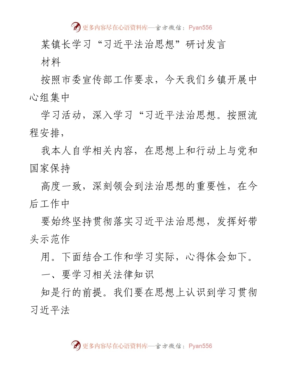 [发言] 学习研讨会 - 深入学习习近平法治思想的重要性与实践应用.docx_第1页
