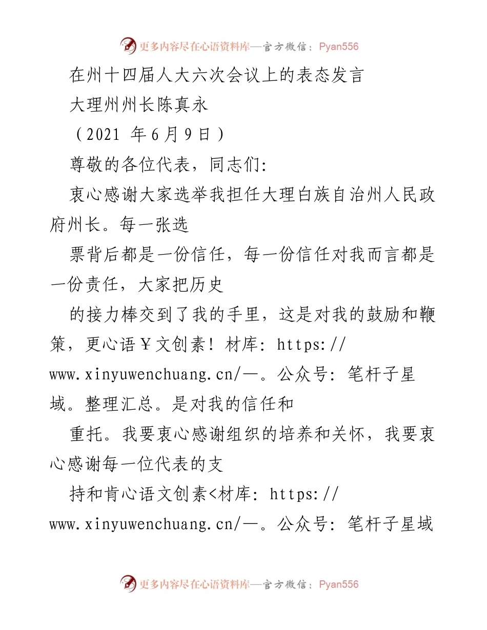 [发言] 州十四届人大六次会议 - 大理州长陈真永的表态发言与发展承诺.docx_第1页