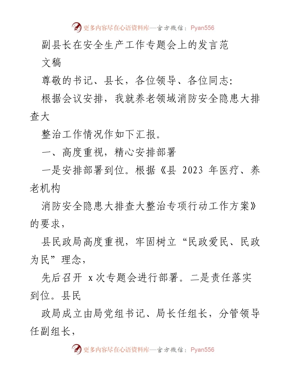 [发言] 安全生产工作专题会 - 养老领域消防安全隐患整治工作汇报.docx_第1页