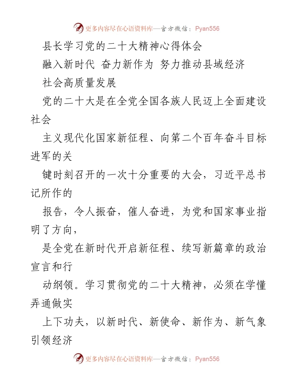 [发言] 学习贯彻党的二十大精神 - 深入学习党的二十大精神，推动县域经济高质量发展新篇章.docx_第1页