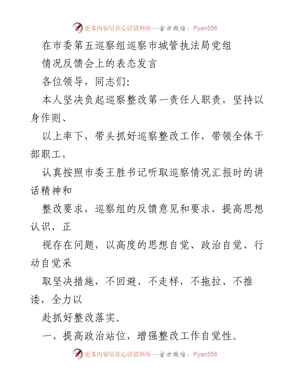 [发言] 巡察情况反馈会 - 坚决落实巡察整改，提升城市管理执法工作效能.docx_第1页