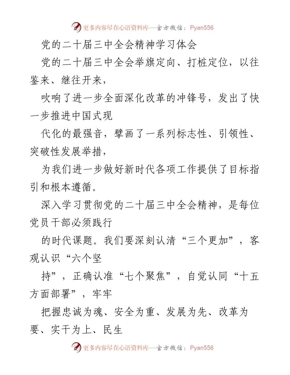 [发言] 学习会 - 深入学习贯彻党的二十届三中全会精神的体会与实践.docx_第1页