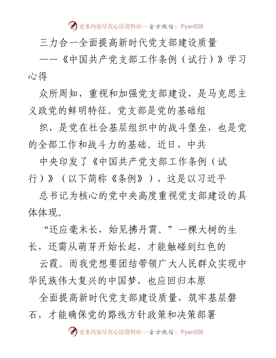 [发言] 学习交流会 - 提升新时代党支部建设质量的思考与实践.docx_第1页