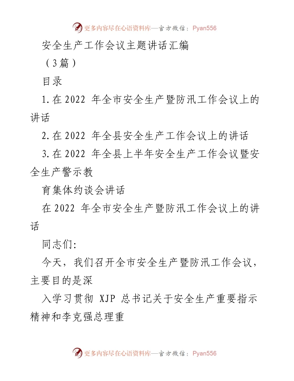 [发言] 安全生产工作会议 - 深入贯彻安全生产理念，确保安全稳定.docx_第1页