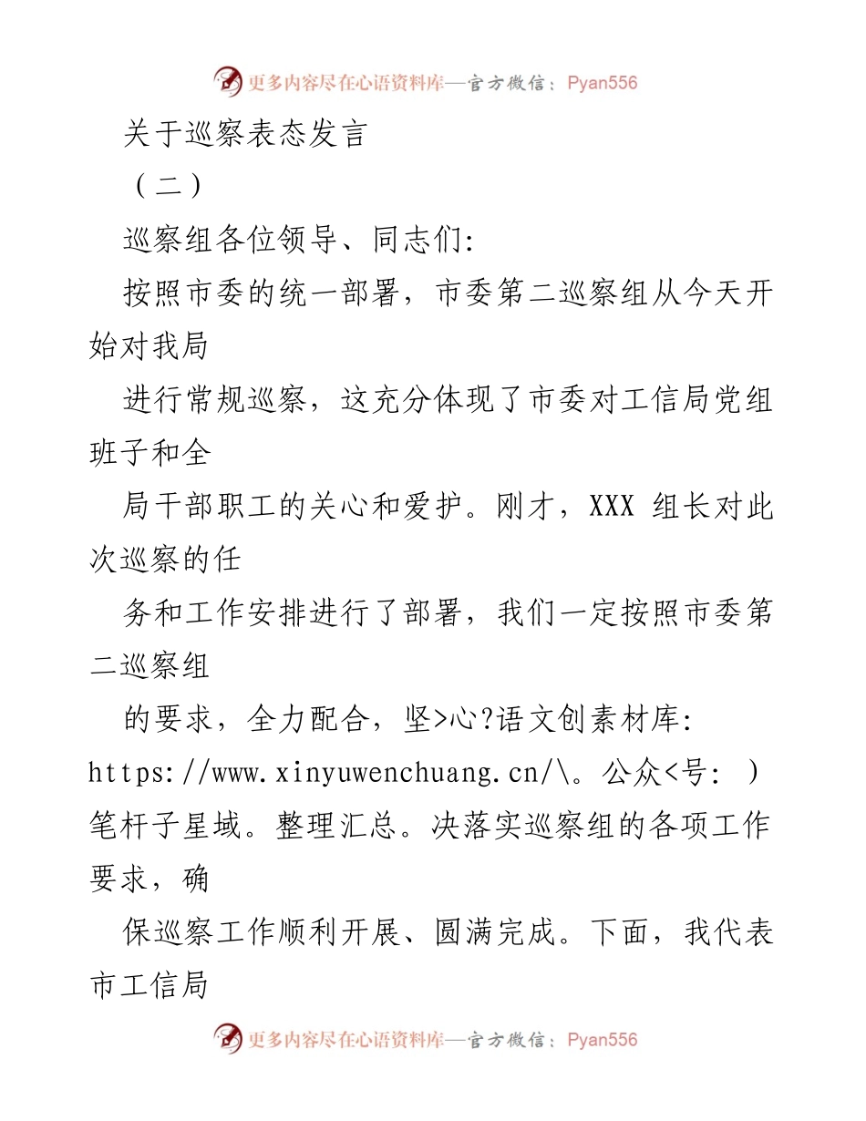 [发言] 巡察工作 - 市工信局党组巡察表态发言.docx_第1页
