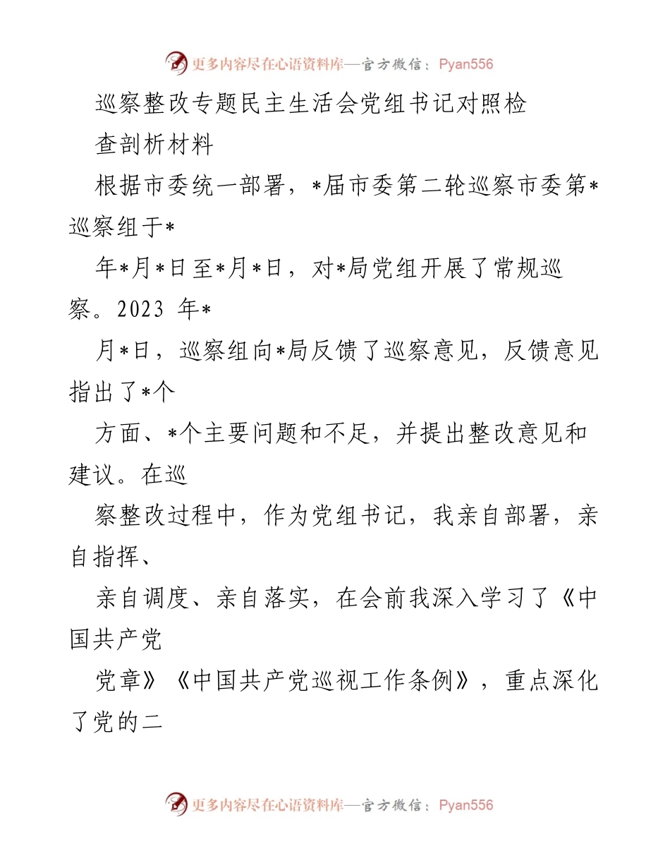 [发言] 巡察整改专题民主生活会 - 党组书记对照检查剖析材料总结.docx_第1页