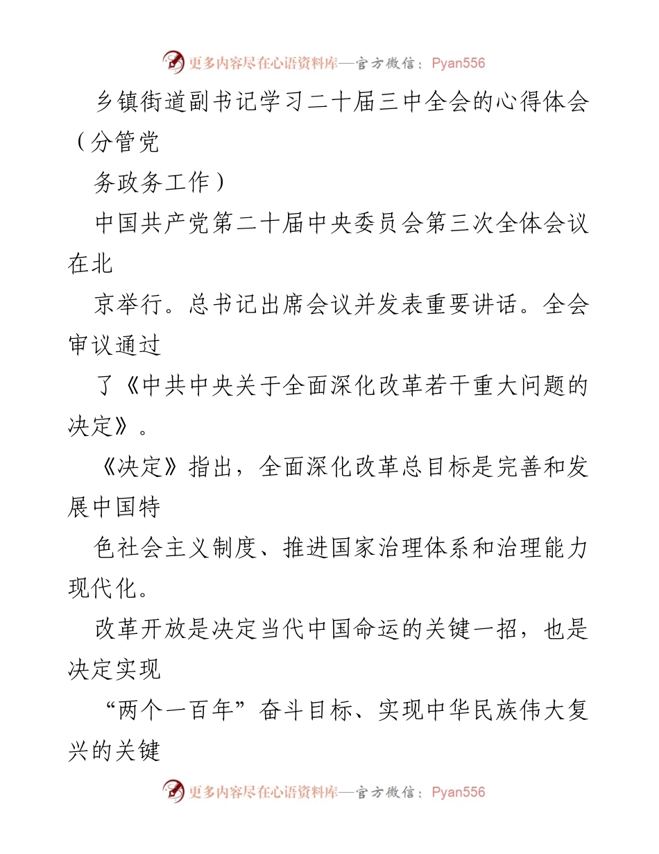 [发言] 学习心得 - 乡镇街道副书记对二十届三中全会精神的深入理解与实践建议.docx_第1页