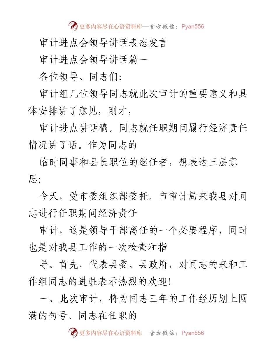 [发言] 审计进点会 - 审计工作的重要性与期望发言.docx_第1页