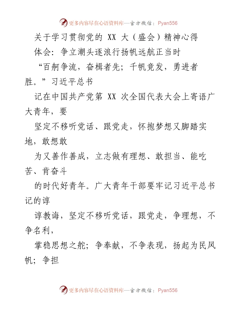 [发言] 学习贯彻党的 XX 大精神 - 青年干部应践行党的理想与担当.docx_第1页