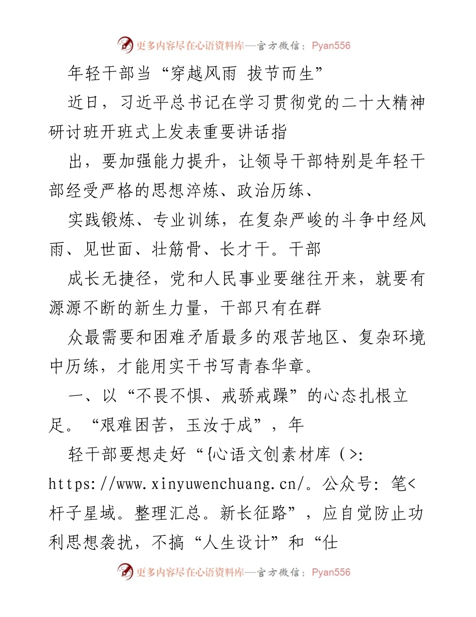 [发言] 学习贯彻党的二十大精神研讨班 - 年轻干部应勇于担当，扎根基层，迎接挑战.docx_第1页