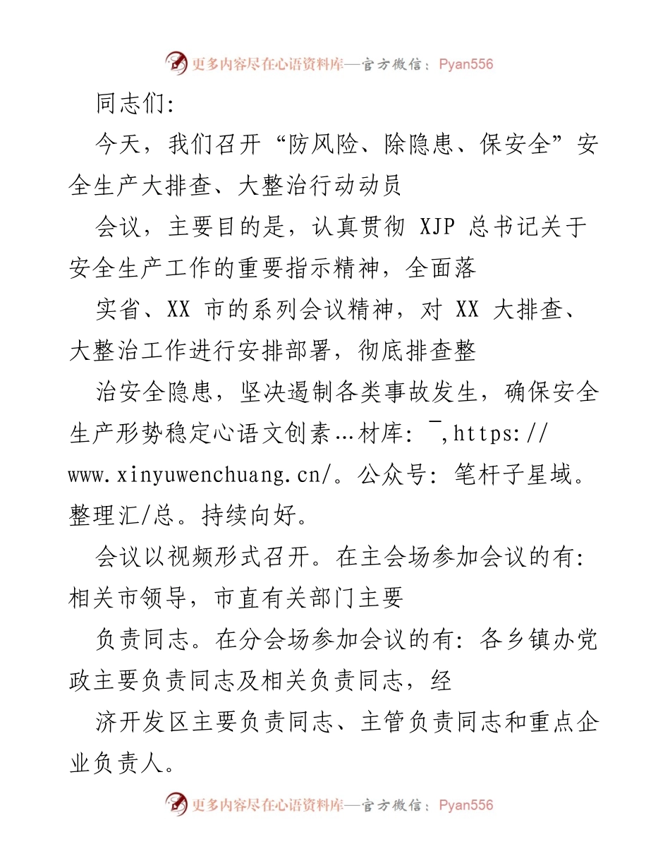 [发言] 安全生产动员会议 - “防风险、除隐患、保安全”动员会议发言稿.docx_第1页