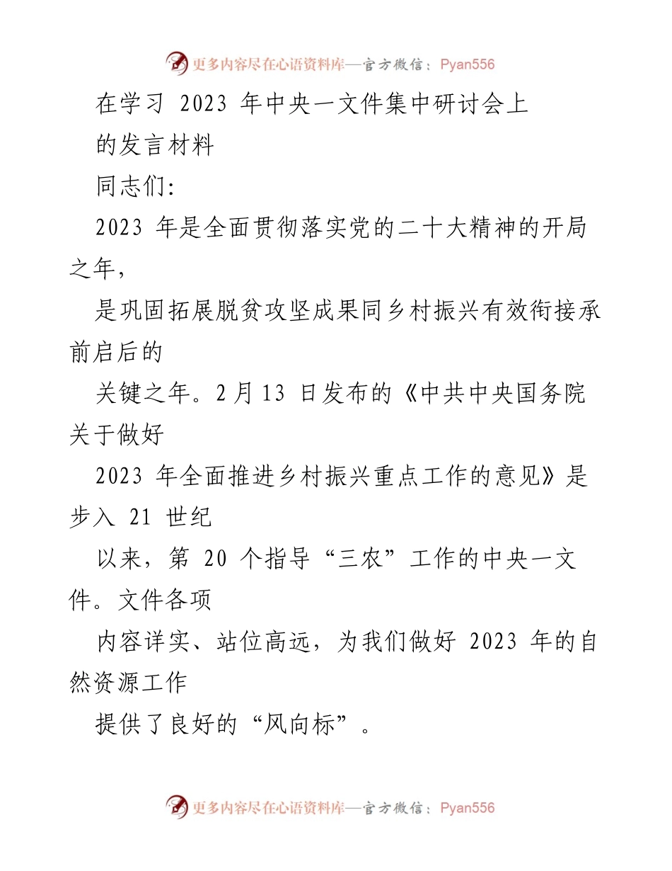 [发言] 学习研讨会 - 深入贯彻中央一文件精神，推动乡村振兴与耕地保护的思考.docx_第1页