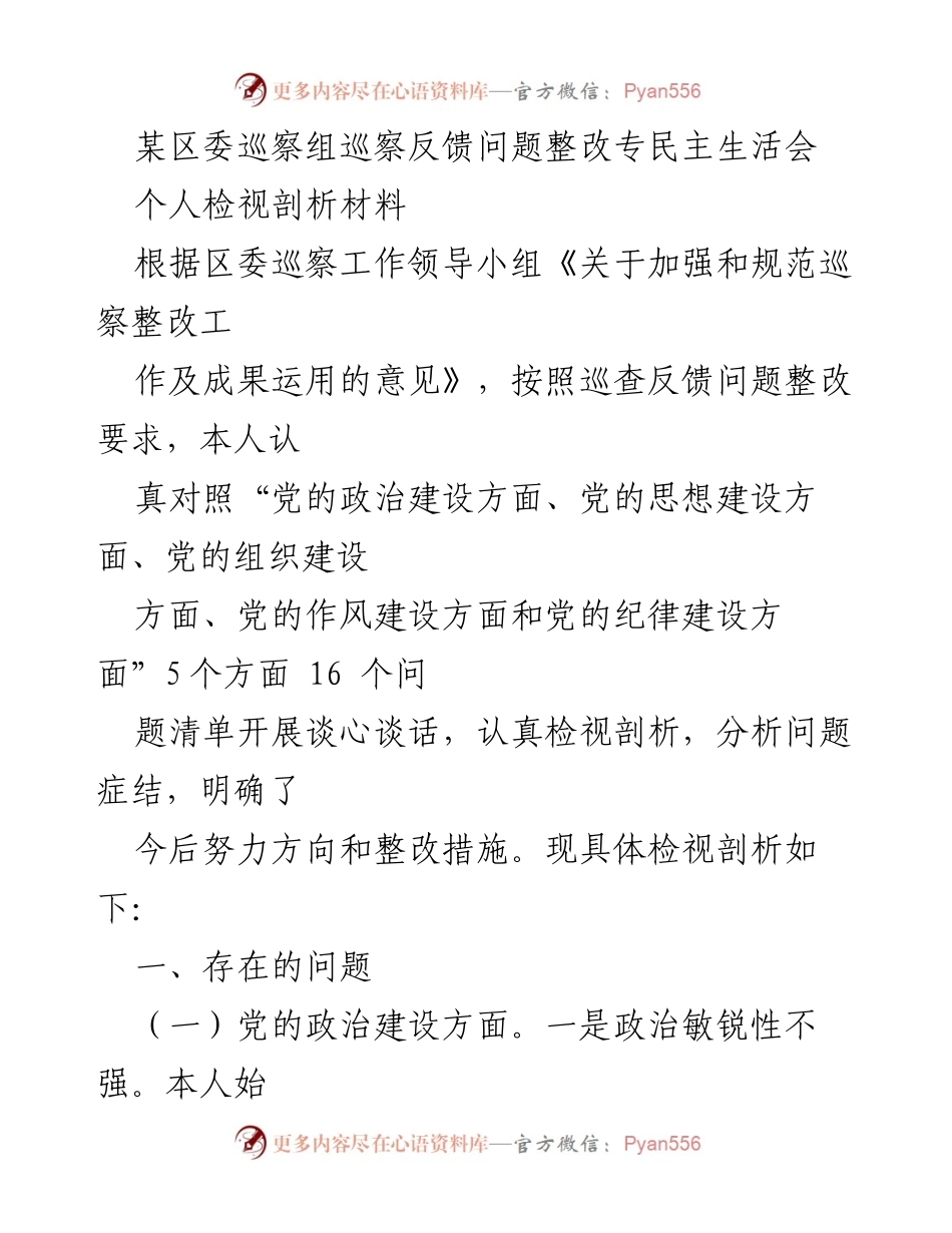 [发言] 巡察整改专民主生活会 - 巡察反馈问题整改个人检视剖析报告.docx_第1页