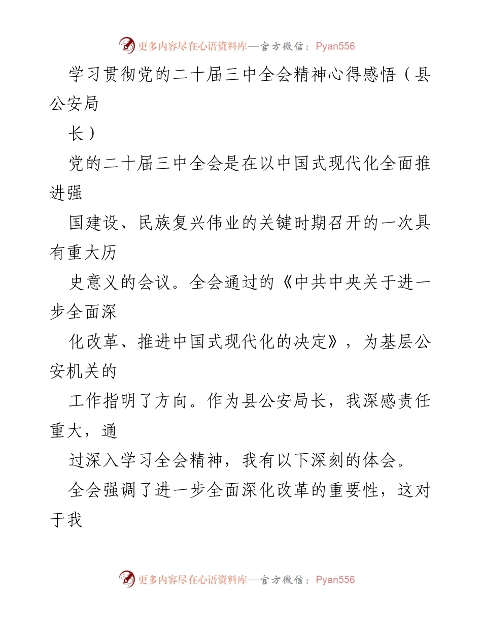 [发言] 学习贯彻党的二十届三中全会精神 - 深化改革，推动公安现代化建设.docx_第1页