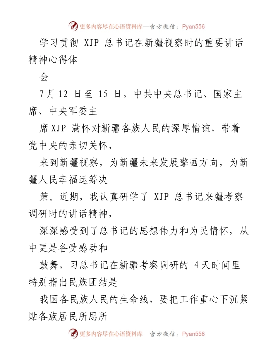 [发言] 学习贯彻会议 - 深入学习XJP总书记新疆视察讲话精神的心得体会.docx_第1页