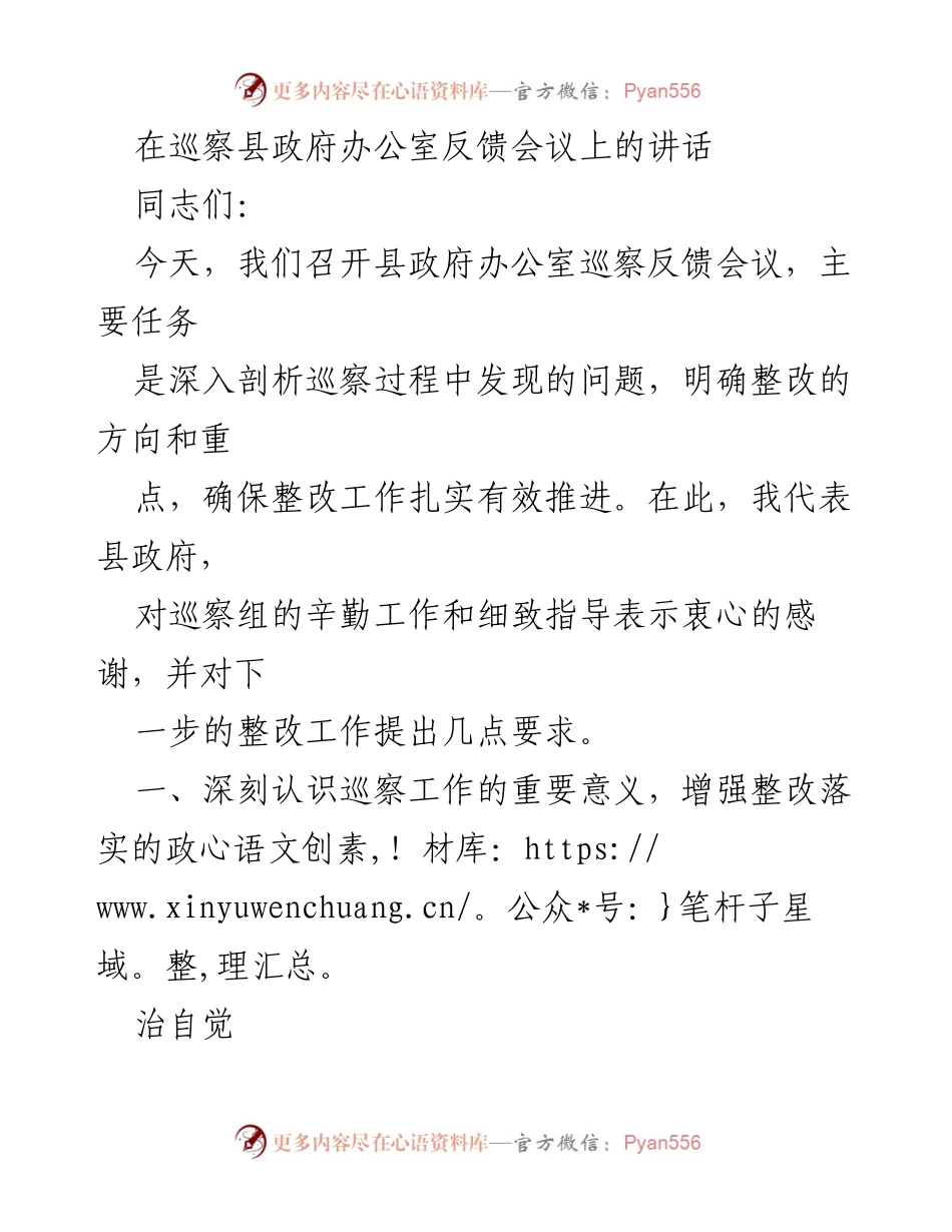[发言] 巡察反馈会议 - 巡察工作的重要性与整改要求.docx_第1页