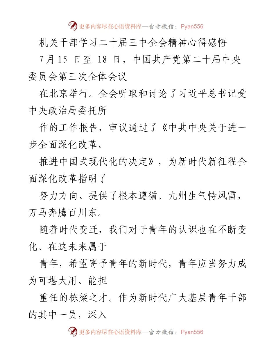 [发言] 学习会议 - 青年干部学习二十届三中全会精神的心得体会.docx_第1页