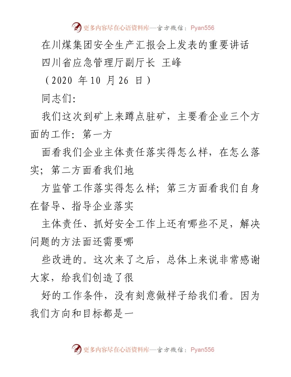 [发言] 安全生产汇报会 - 强化安全生产责任，共同推进煤矿安全工作.docx_第1页