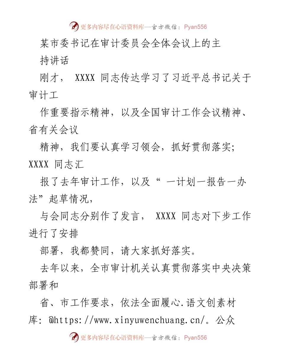 [发言] 审计委员会全体会议 - 市委书记关于审计工作的重要讲话.docx_第1页