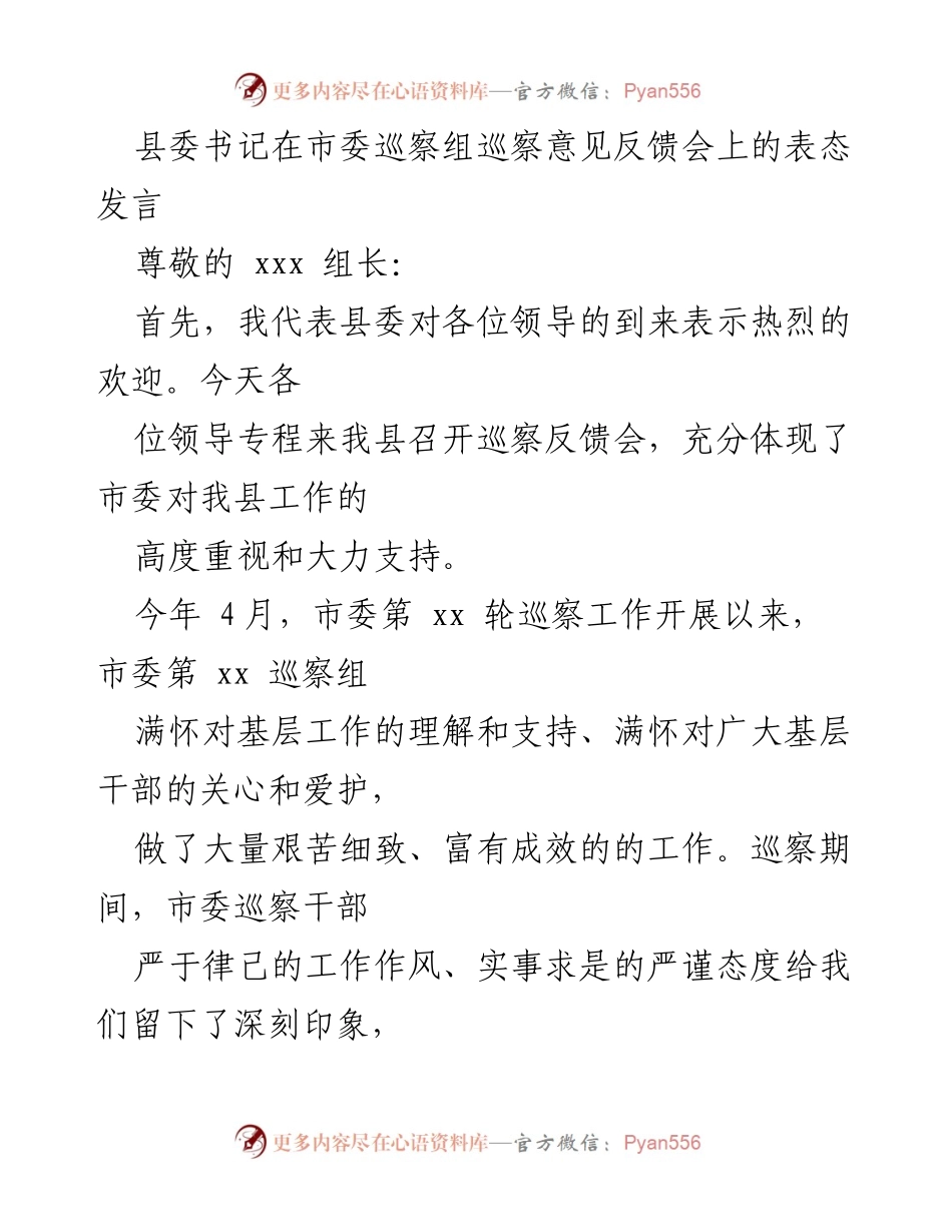 [发言] 巡察反馈会 - 县委书记表态发言：全力落实巡察整改工作.docx_第1页