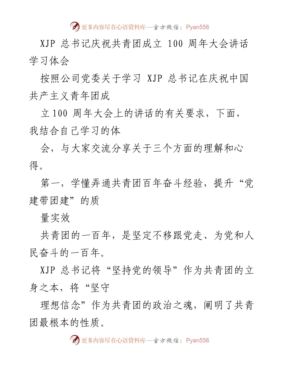 [发言] 学习交流会 - 深入领会总书记讲话，推动共青团建设与企业发展.docx_第1页