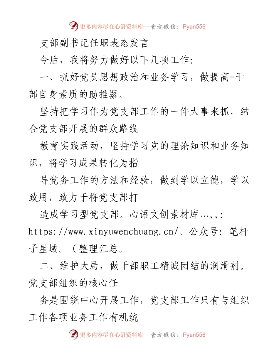 [发言] 就职仪式 - 支部副书记任职表态发言与工作承诺.docx_第1页