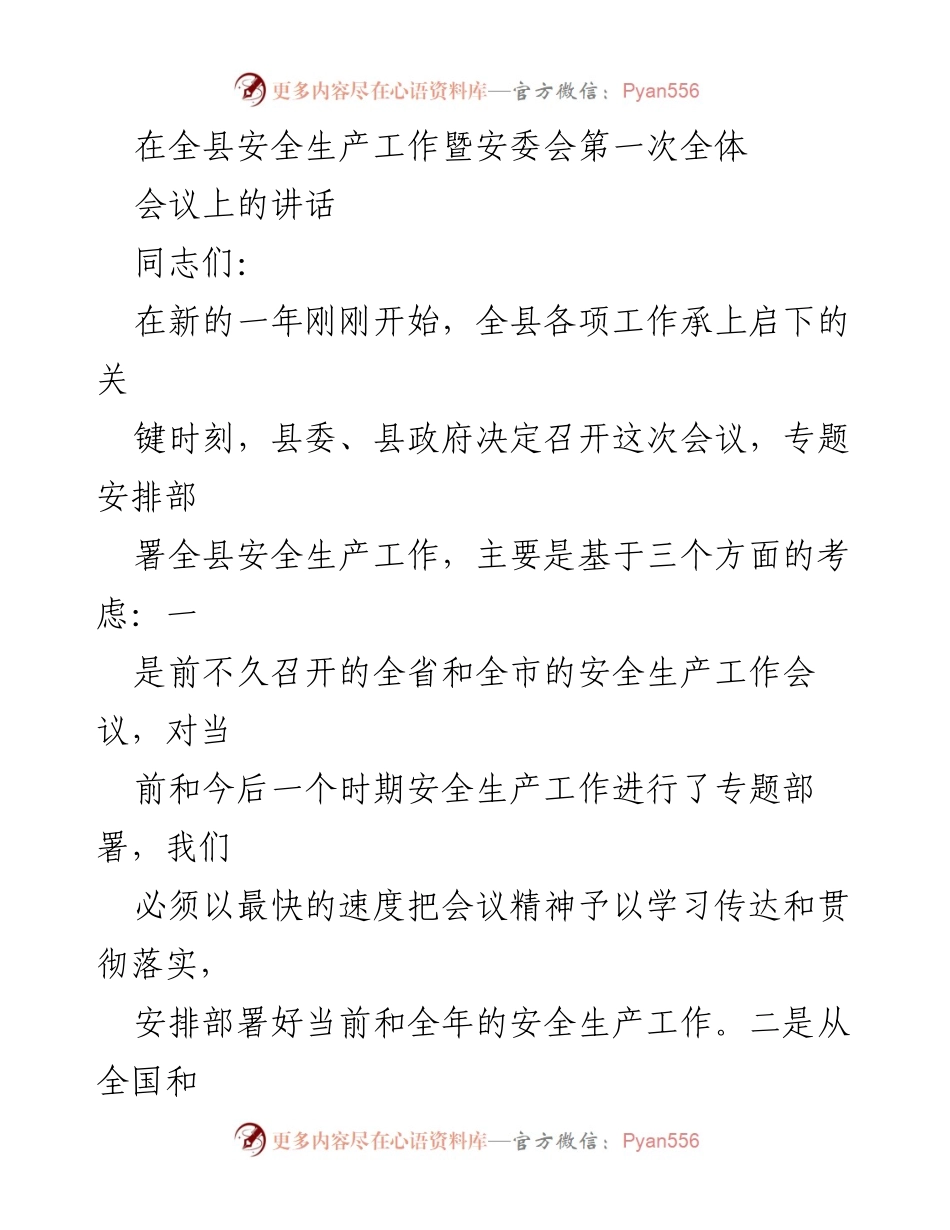 [发言] 安全生产工作会议 - 确保安全生产工作落实的重要讲话.docx_第1页