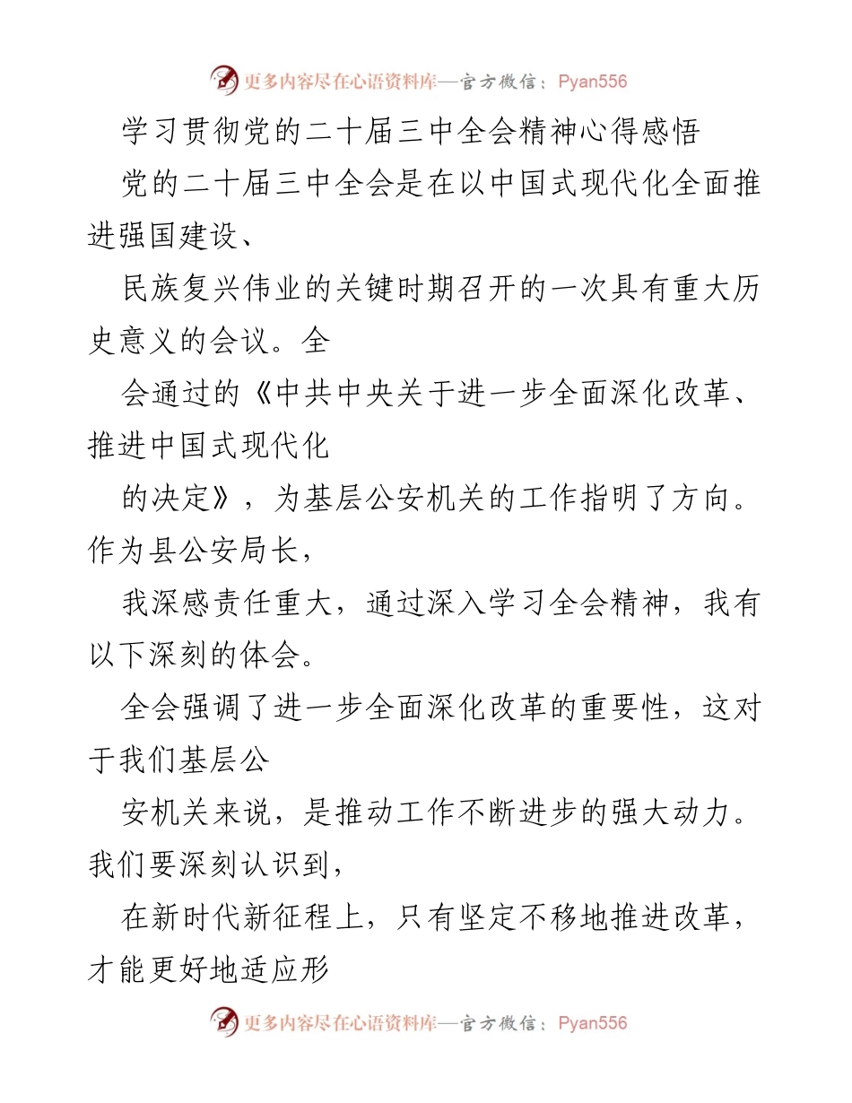 [发言] 学习贯彻党的二十届三中全会精神会议 - 深刻体会：推动基层公安改革与现代化建设.docx_第1页