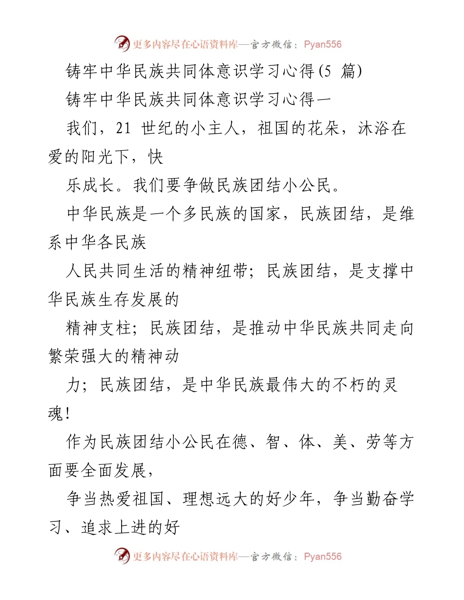 [发言] 学习心得分享 - 铸牢中华民族共同体意识的重要性.docx_第1页