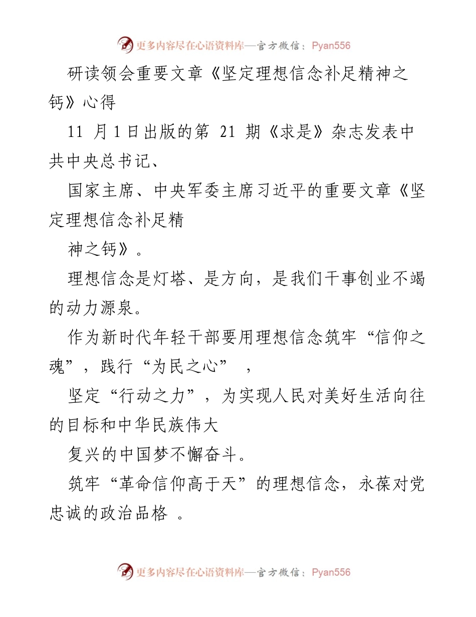 [发言] 学习研讨会 - 坚定理想信念，补足精神之钙：新时代年轻干部的使命与责任.docx_第1页