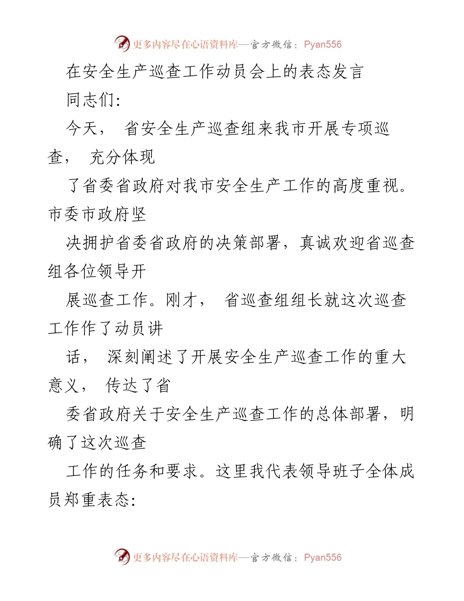 [发言] 安全生产巡查工作动员会 - 积极配合省巡查组，确保安全生产工作落实.docx_第1页