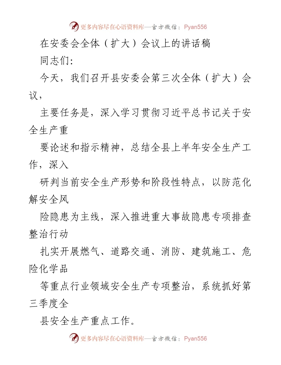 [发言] 安委会全体（扩大）会议 - 深入推进安全生产工作，防范风险隐患.docx_第1页
